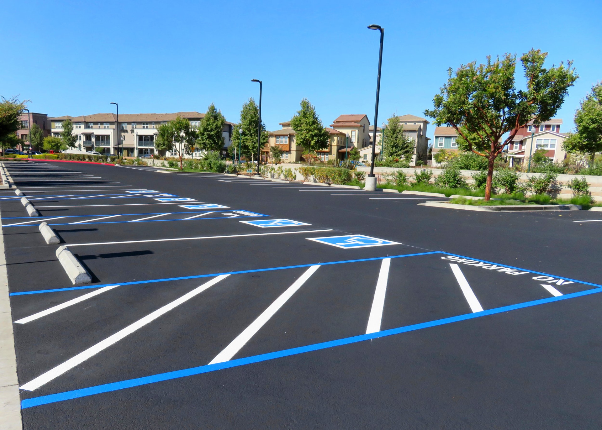 South Florida Paving crew paving asphalt in Parkland, FL